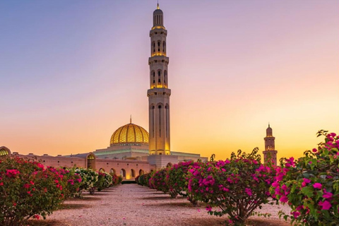 Muscat: Amazing Muscat City Tour Full Day with Omani Guide