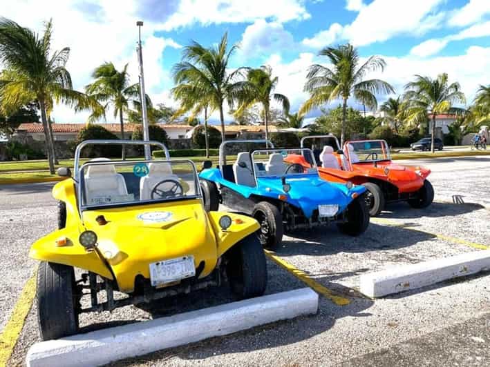 Cozumel: Classic Jeep or Buggy Island Tour to Punta Sur