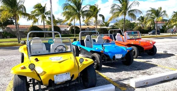 Cozumel: Classic Jeep or Buggy Island Tour to Punta Sur