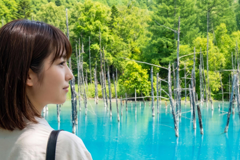 Sapporo: Asahiyama Zoo, Blue Pond, & Farm Tomita Tour