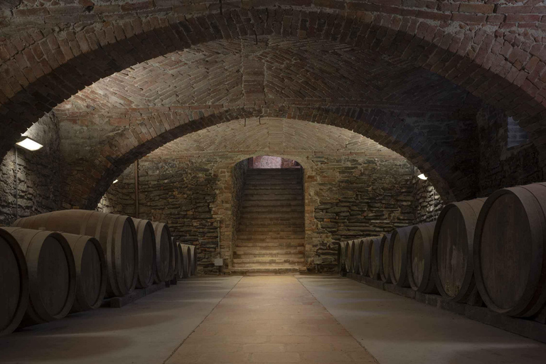 Langhe: Visit to the Vineyard and Historic Cellars with Tasting Langhe: Visit to the Vineyard and Historic Cellars with Wine Tasting