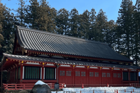 From Tokyo: Nikko Private Tour In Luxury Prado Lowest Price