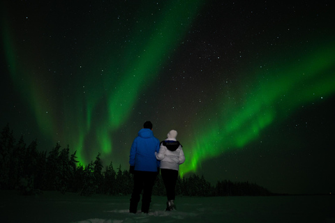 Levi: Paseo en trineo por la aurora boreal