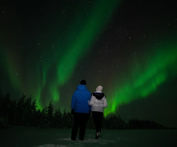 Passeio de trenó com renas no Northern Lights