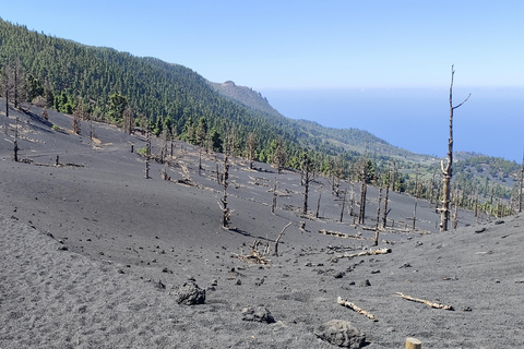 Tajogaite VIP Experience: Ruta Privada con Guía certificado y Dron