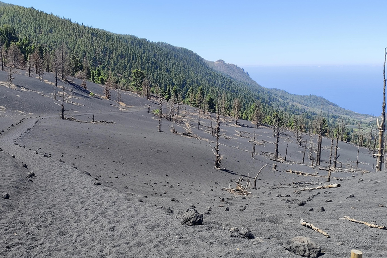 Tajogaite VIP Experience: Ruta Privada con Guía certificado y Dron