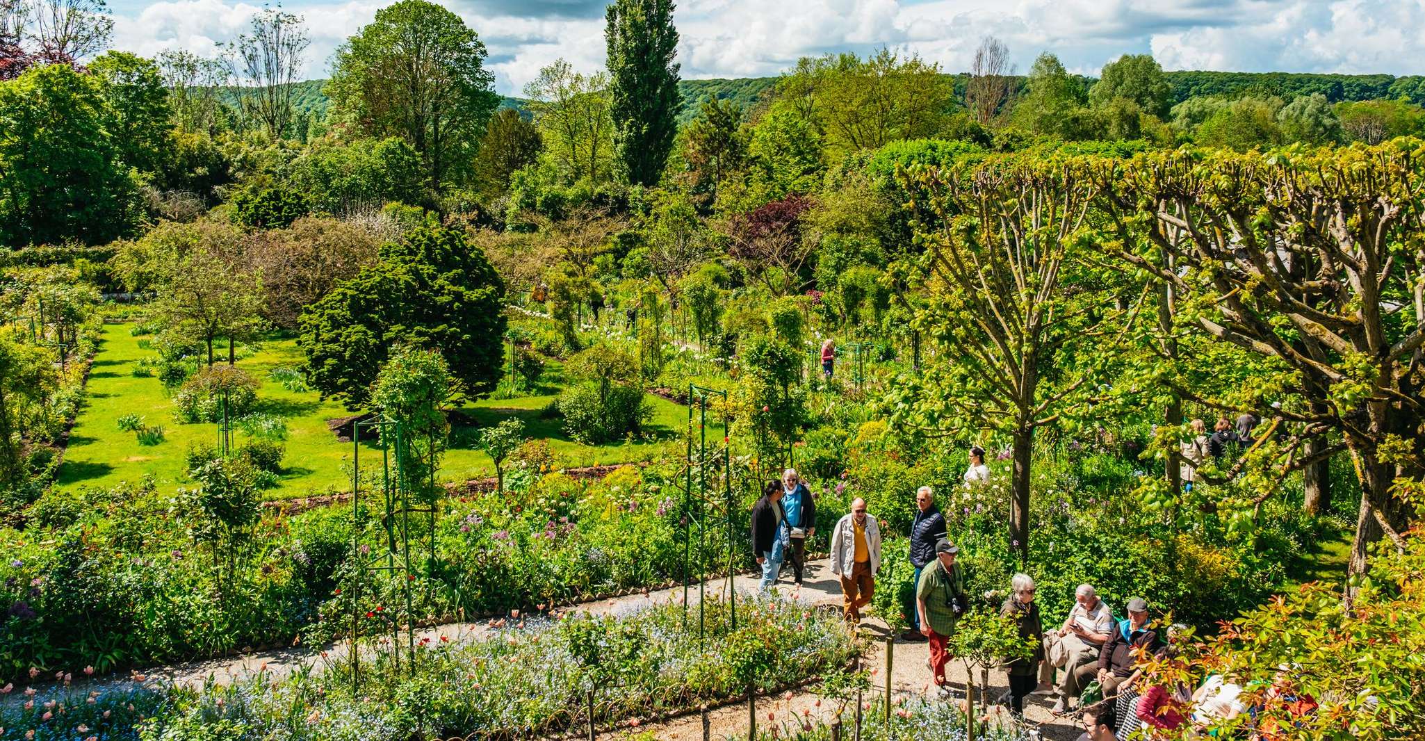 From Paris: Giverny, Monet’s Home & Gardens Half-Day Trip photo 5