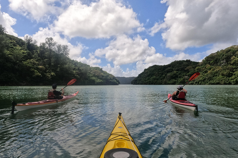 Okinawa: Private Kayak Mangrove or Reef with Native EnglishOkinawa: Private Kayak Tour with English-Speaking Guide