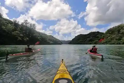 Okinawa: Private Kayak Mangrove or Reef with Native English