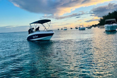 Amanecer con delfines, observación y nado, snorkel y Crystal Rock.Amanecer con delfines, observación y nado, snorkel y roca cristalina.