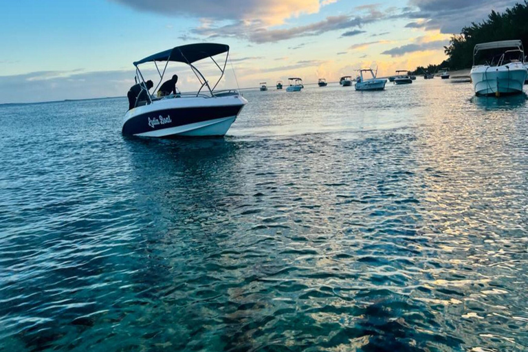 Amanecer con delfines, observación y nado, snorkel y Crystal Rock.Amanecer con delfines, observación y nado, snorkel y roca cristalina.
