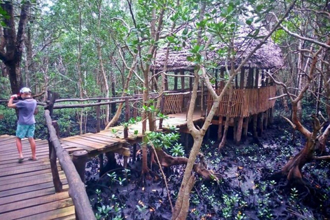 Zanzibar: Jozani forest, Sea tortoises & Mtende beach tour Private tour no Hotel pick and drop off included