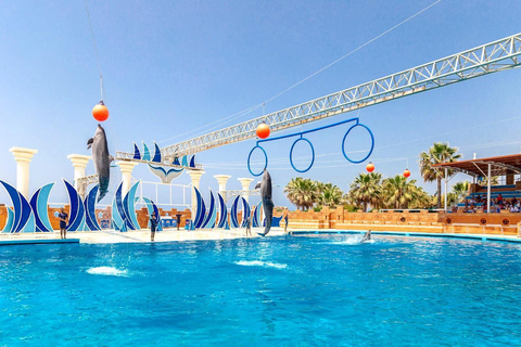 Alanya: Dolphin Park Transferservice von allen OrtenTransfer von Hotels