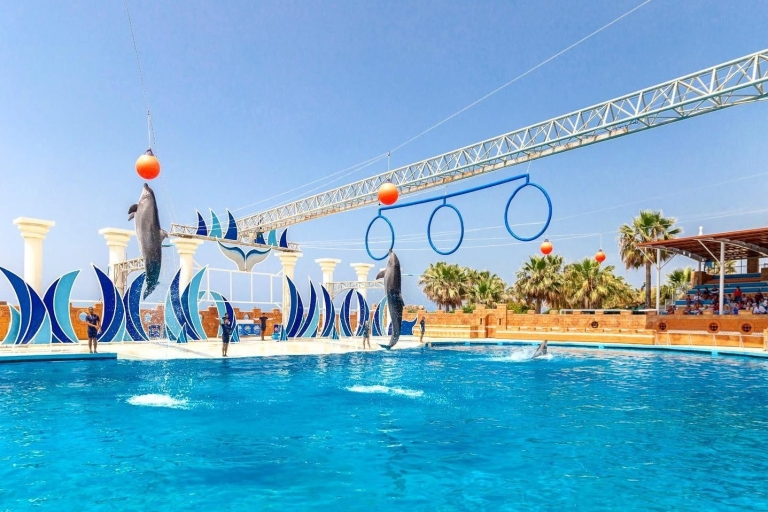 From City of Side: Dolphin Park: Guaranteed Entry Transfer From Belek Kundu Hotels