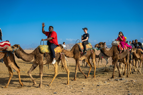 Desde Marrakech: Excursión al Atardecer en el Desierto con paseo en camello y cena