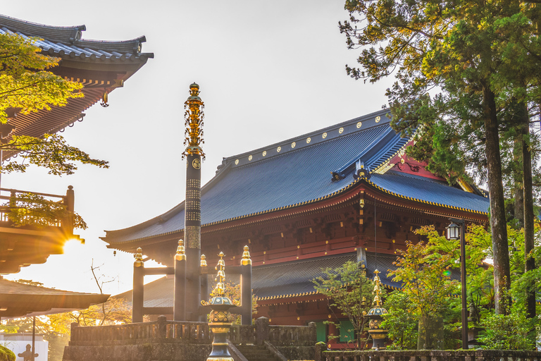 Tokyo: Nikko National Park Private Tour Hotel Pickup & Drop