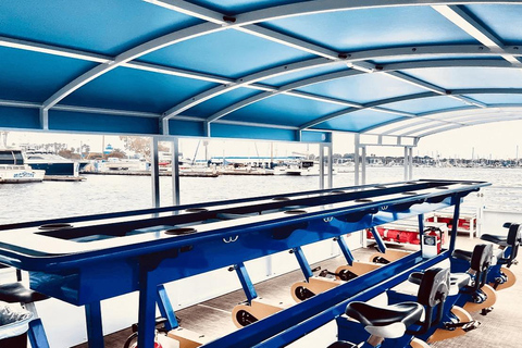 Los Angeles: Karaoke Experience at Paddle Pub Marina Del Rey