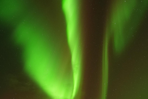 Tromsø: English/Spanish Aurora Pathfinder Tour with Photos Tromsø: English/Spanish Aurora Hunting Private Minibus Tour