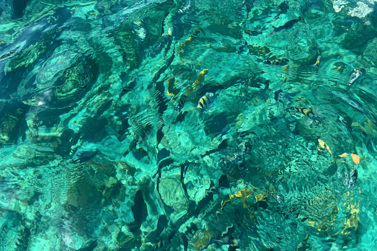 Invisible Boat & Snorkeling Experience at Nassau