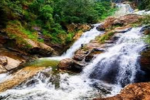 Ella: Diyaluma Waterfalls & Buduruwagala Temple Day Tour