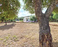 Apitherapy and apisound - Housity