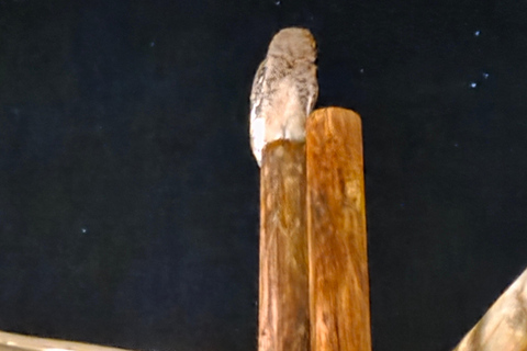 From Swakopmund: 2-Day Sossusvlei Scenic Journey (1 Night)