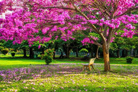 Bangalore Privat Full & Half-Day City Tour with 5-Star Lunch Bangalore Private Half-Day City Tour without 5-Star Lunch