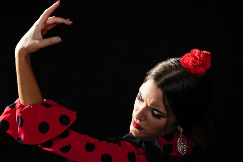 Malaga: Authentic Flamenco dinner show at Vino Mio