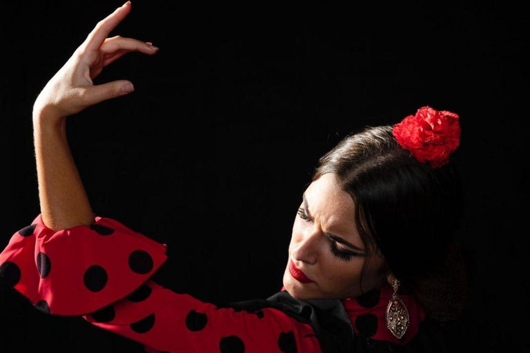 Málaga: Jantar-espetáculo de flamenco autêntico no Vino Mio