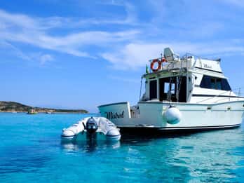 Santa Teresa: Speedboat Tour of the La Maddalena Archipelago