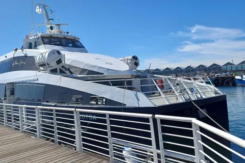 Ciudad del Cabo: Isla Robben, Cabo de Buena Esperanza y Tour de los Pingüinos