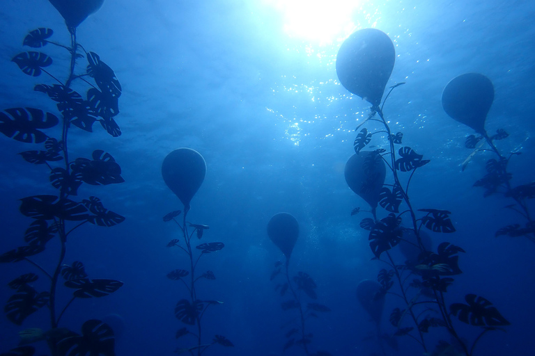 Protaras: MUSAN Underwater Museum Guided Dive for Divers