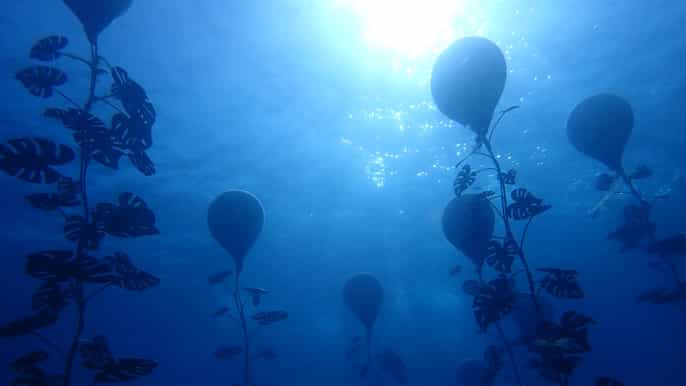 Protaras: MUSAN Underwater Museum for Certified Divers