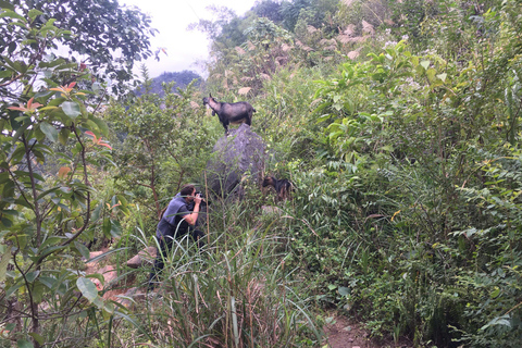 Von Ha Noi aus: 3-tägige Cao Bang Loop Tour Besuch eines lokalen Dorfes