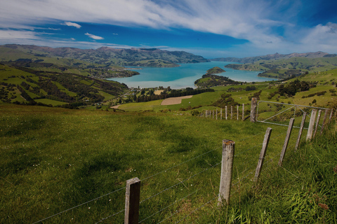 Visite d'une journée privée de Christchurch à AkaroaChristchurch to Akaroa Private Day Tour