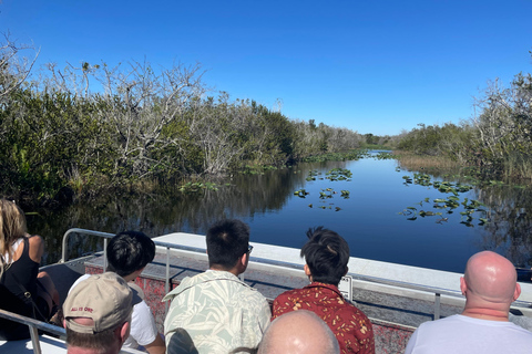 Miami: Everglades Airboat, Photo & Gator Experience From Miami: Everglades Airboat Tour with a Guide