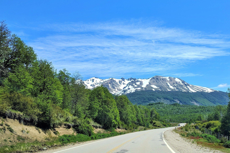 From Bariloche: San Martin de los Andes and 7 Lakes Circuit Tour in Spanish