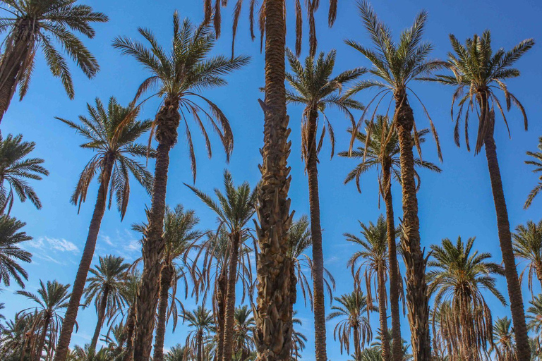 In the footsteps of Star Wars in Tunisia: 3-day tour from Djerba