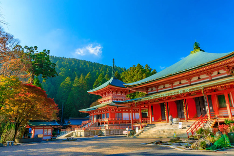 Tour autunnale dei templi Enryaku-ji e KyorinboParti da Kyoto