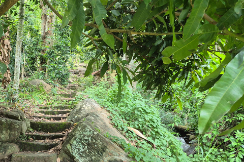 Esplora le cascate iconiche di Ella con un&#039;avventura panoramica in tuk-tuk