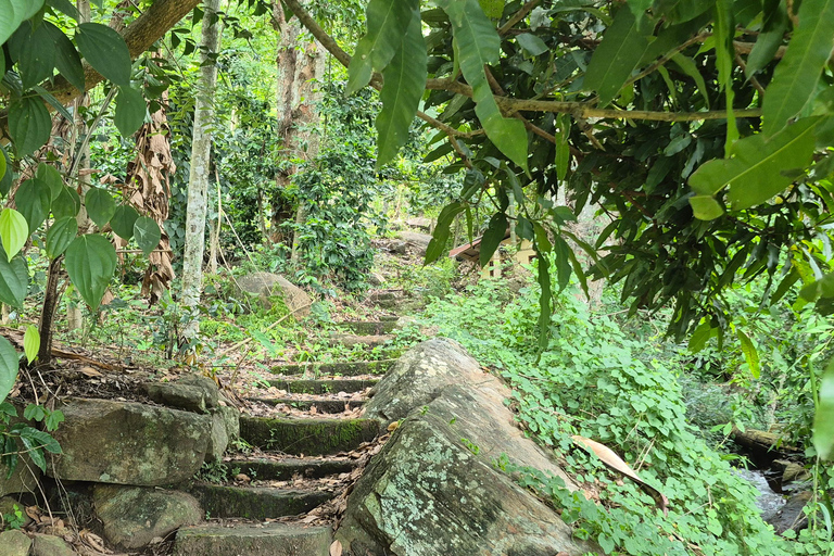 Esplora le cascate iconiche di Ella con un&#039;avventura panoramica in tuk-tuk