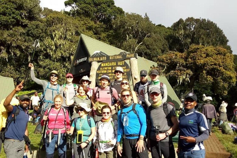 Arusha: 6-Day Mount Kilimanjaro Climb via Marangu Route