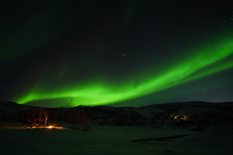 Tromsø: Northern Lights Tour – Unlimited Chase & Free Photos 6-8 Hours, Aurora chase, Comfortable bus, Photos included