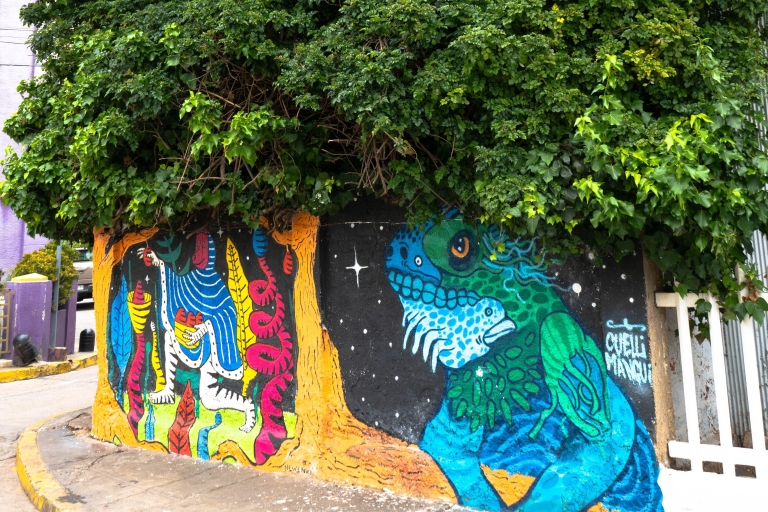 Valparaiso: Straßenkunst-Tour + Mittagessen