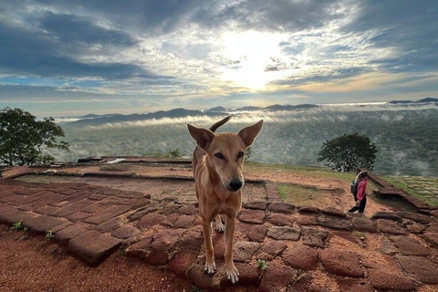 Kandy : Sigiriya Private Luxury Car Experience Heritage Tour Sigiriya, Dambulla & Village Cooking Private Tour