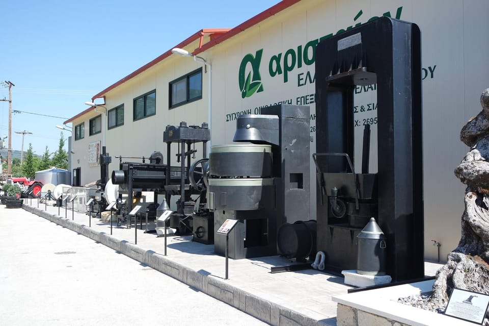 Zante Small Group Tour Bohali Views, Wine & Oil Tasting GetYourGuide