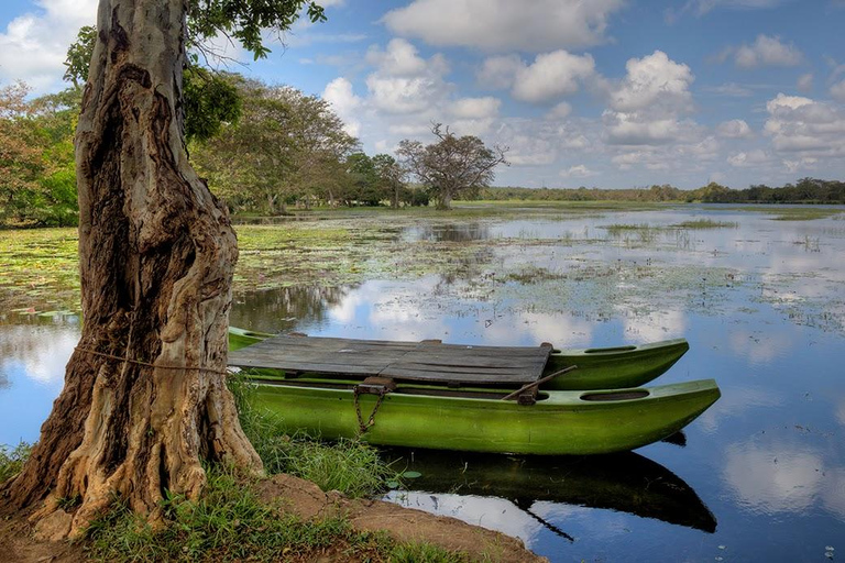 From Sigiriya: Dambulla & Habarana Tuk-Tuk Tour with Lunch
