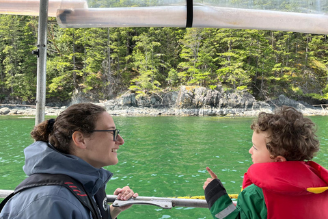 Snorkel Focas Remando Vida Salvaje Tour en barco en Vancouver