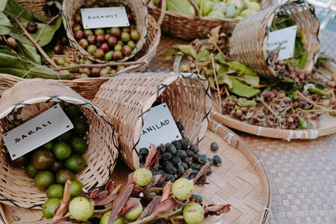 Boracay: raccolta di cibo e spiaggia nascostaAlla ricerca di cibo sull'isola di Boracay con esperienza sulla spiaggia nascosta