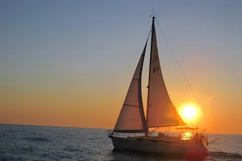 Bari: Half-Day Dolphin-Searching Sailboat Cruise with Snack